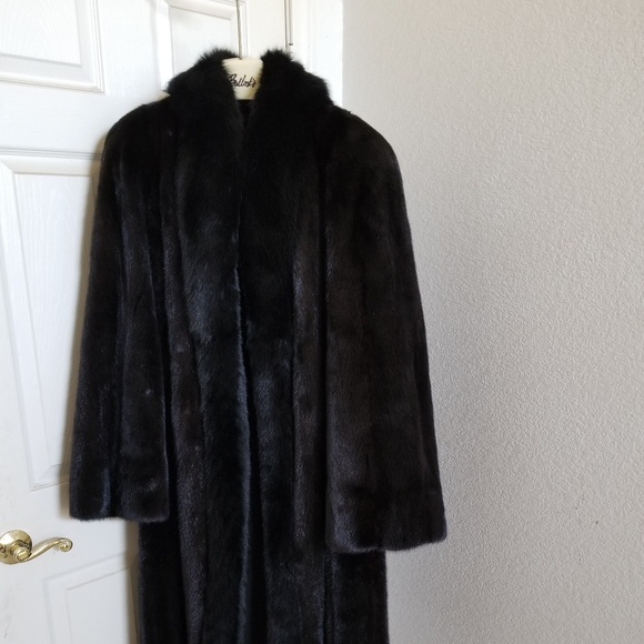 Mink - Picture 1 of 1